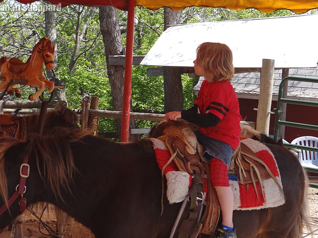 Visitors enjoy sunny day at Frontier Village May 23, 2015.  Photo Matt Sheppard - CSi